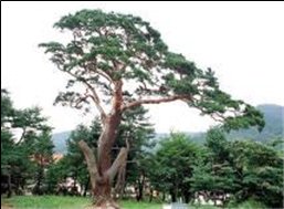 image02.png