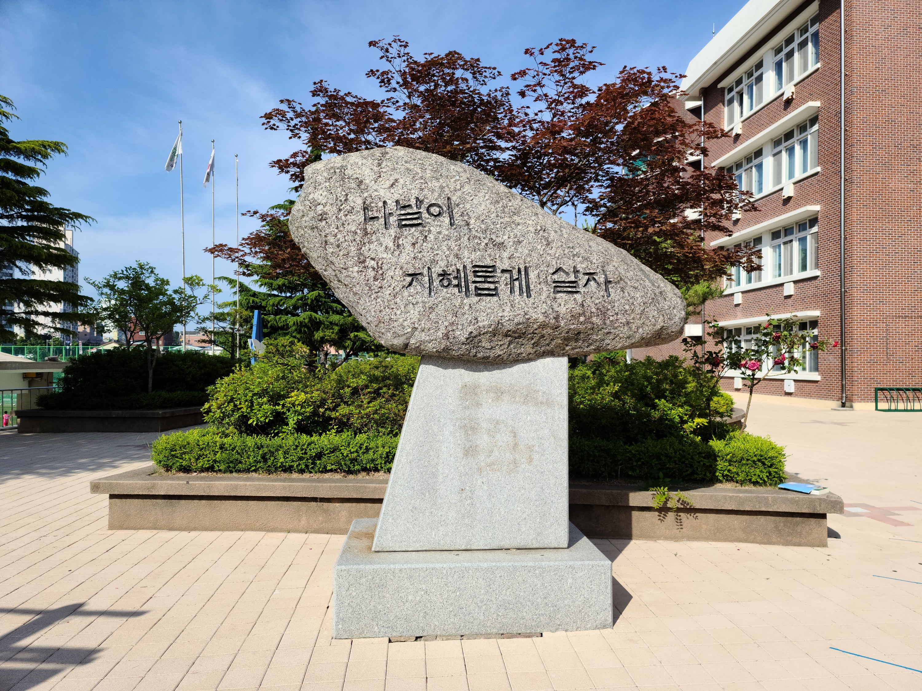 속초중 교훈.jpg
